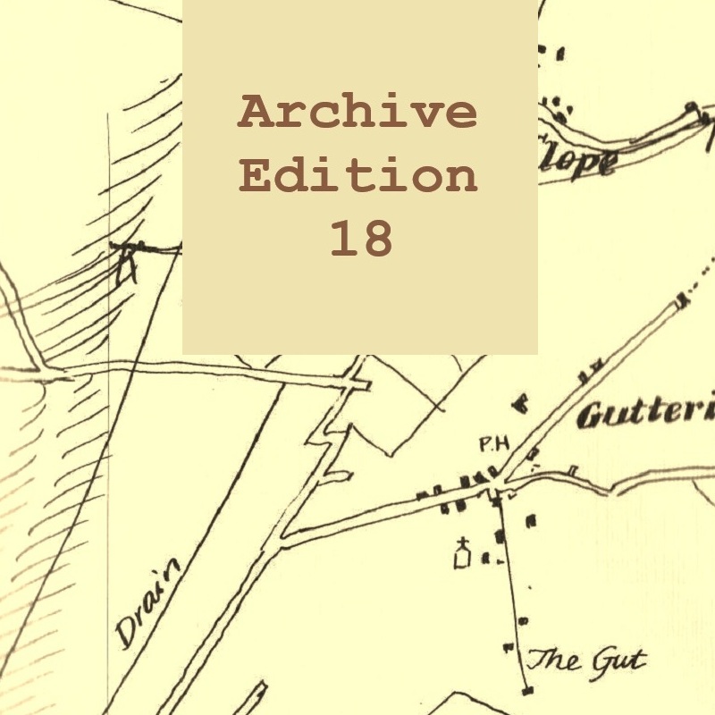 Album: Archive Edition 18 - The Gut